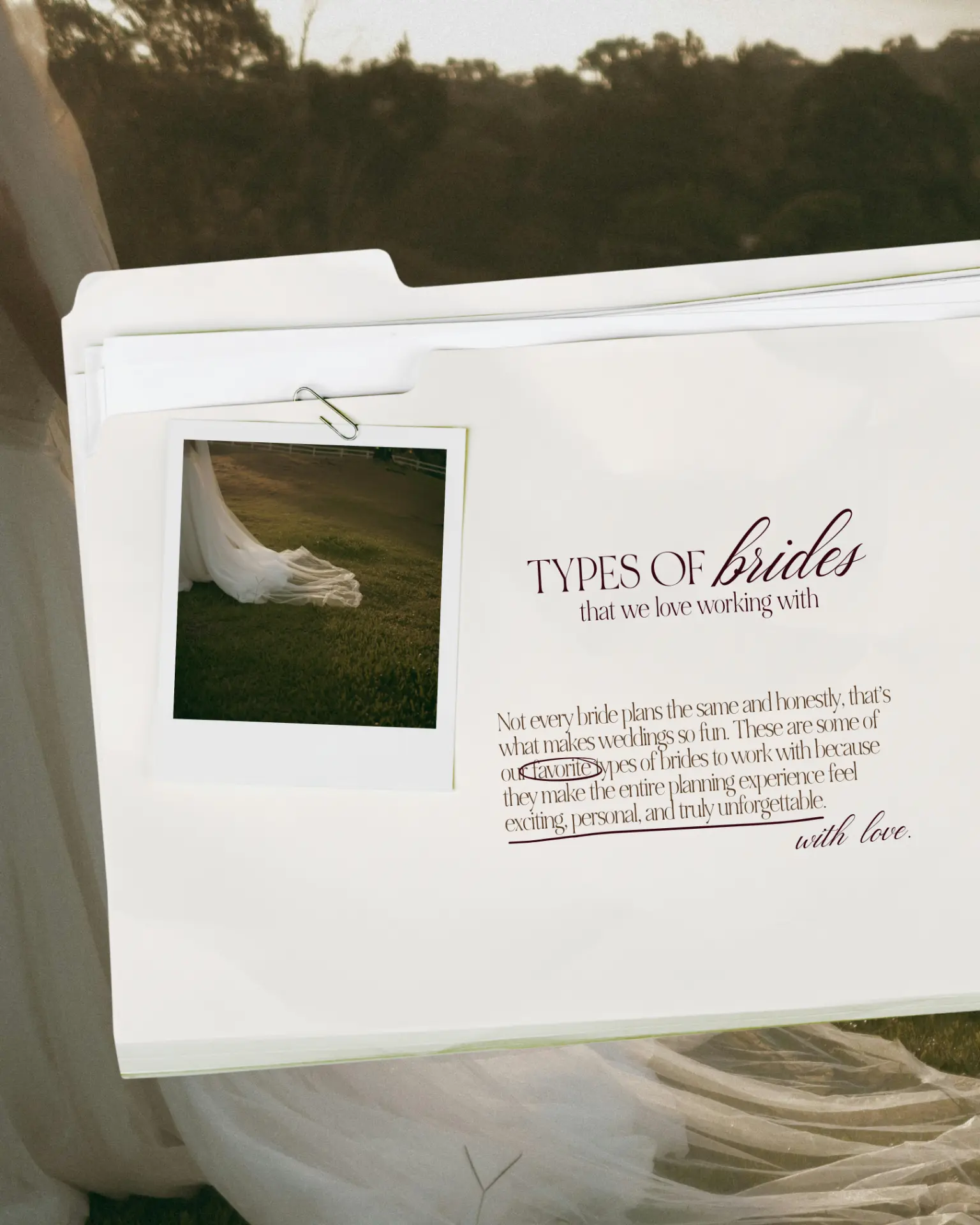 Types of brides carousel template